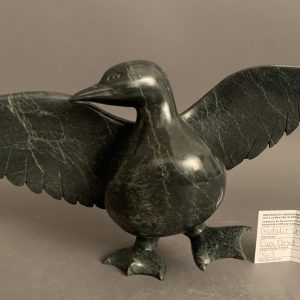 Bird _  Pudalit Shaa