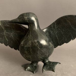 Bird _  Pudalit Shaa