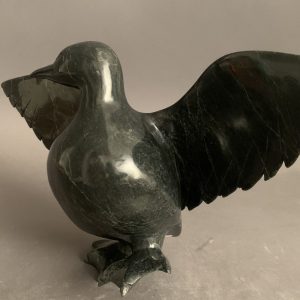 Bird _  Pudalit Shaa