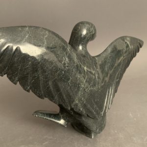 Bird _  Pudalit Shaa