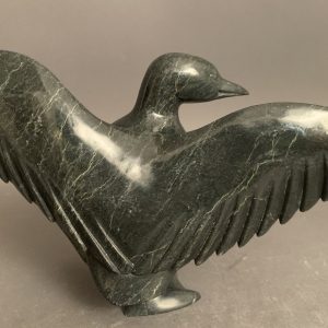 Bird _  Pudalit Shaa