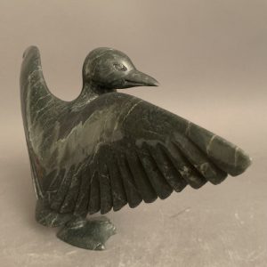 Bird _  Pudalit Shaa