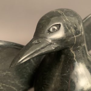 Bird _  Pudalit Shaa