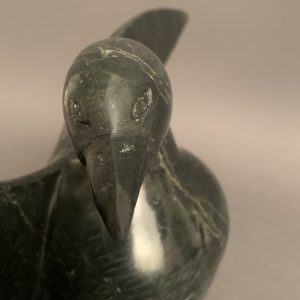 Bird _  Pudalit Shaa
