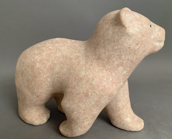 Alabaster  Bear _ Tuk Nuna