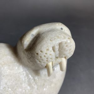 Walrus _  Goola Paneak