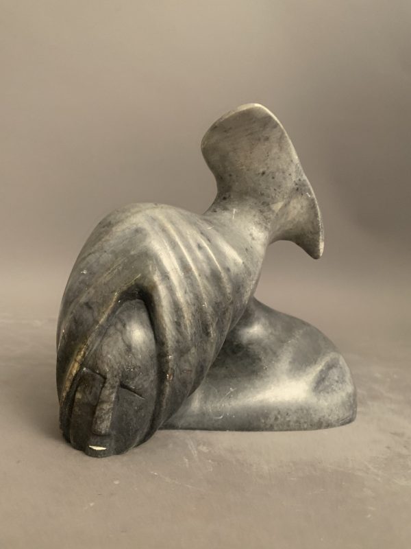 Sedna_ Alex Alikashuk