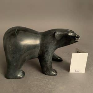 Dancing Bear _ Noah Kelly