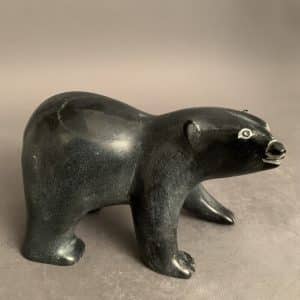 Dancing Bear _ Noah Kelly
