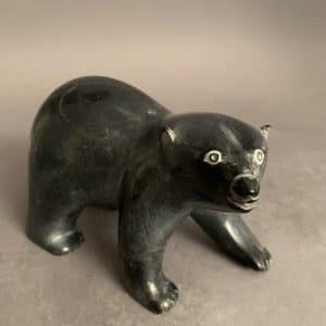 Dancing Bear _ Noah Kelly