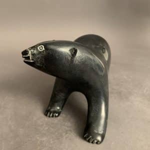 Dancing Bear _ Noah Kelly