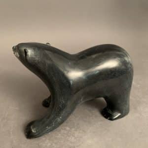 Dancing Bear _ Noah Kelly