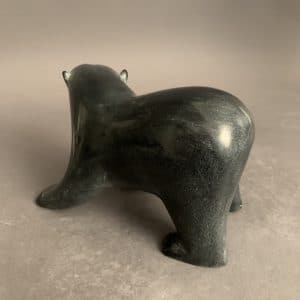 Dancing Bear _ Noah Kelly