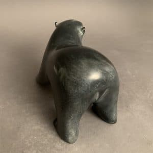 Dancing Bear _ Noah Kelly