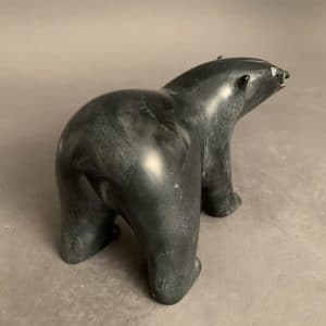 Dancing Bear _ Noah Kelly