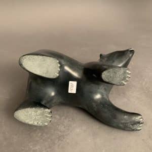 Dancing Bear _ Noah Kelly