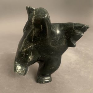 Dancing Bear _  Oqittaq Shaa