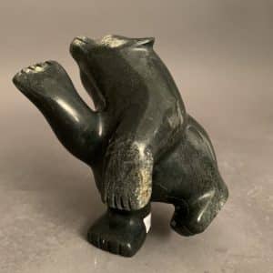 Dancing Bear _  Adamie Mathewsie
