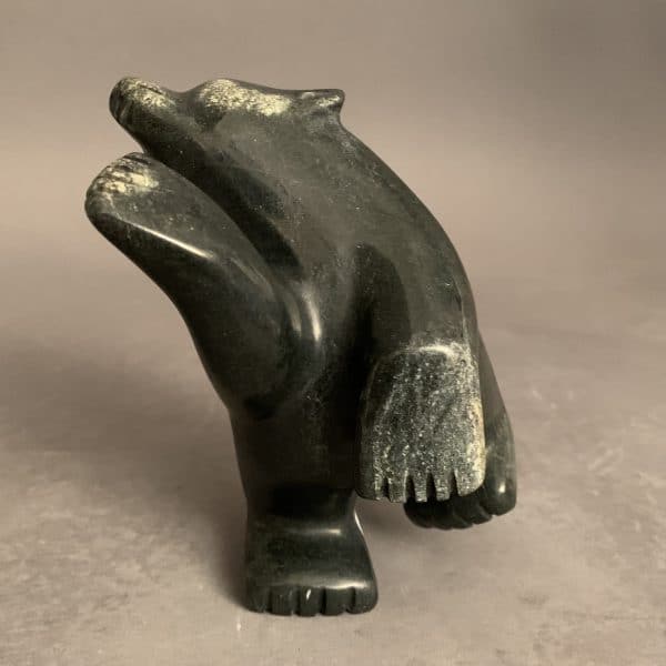 Dancing Bear _  Adamie Mathewsie