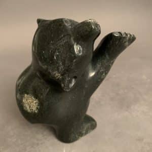 Dancing Bear _  Adamie Mathewsie