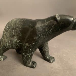 Walking Bear _ Tim Pee
