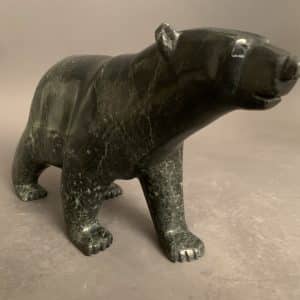 Walking Bear _ Tim Pee