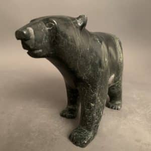 Walking Bear _ Tim Pee