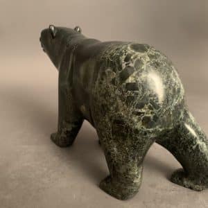 Walking Bear _ Tim Pee