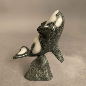 Orca _  Johnnysa Mathewsie