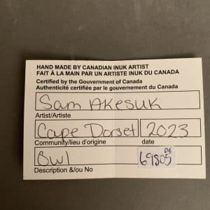 Owl _ Sam Akesuk