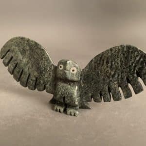 Owl _ Sam Akesuk
