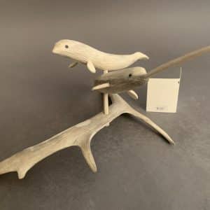 Narwhales _ Paul Aaluk