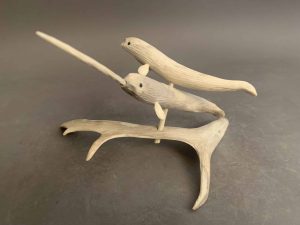 Narwhales _ Paul Aaluk