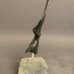 Bird in flight _ Joe Poodlat