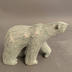 Bear _  Pootoogook  Ashevak