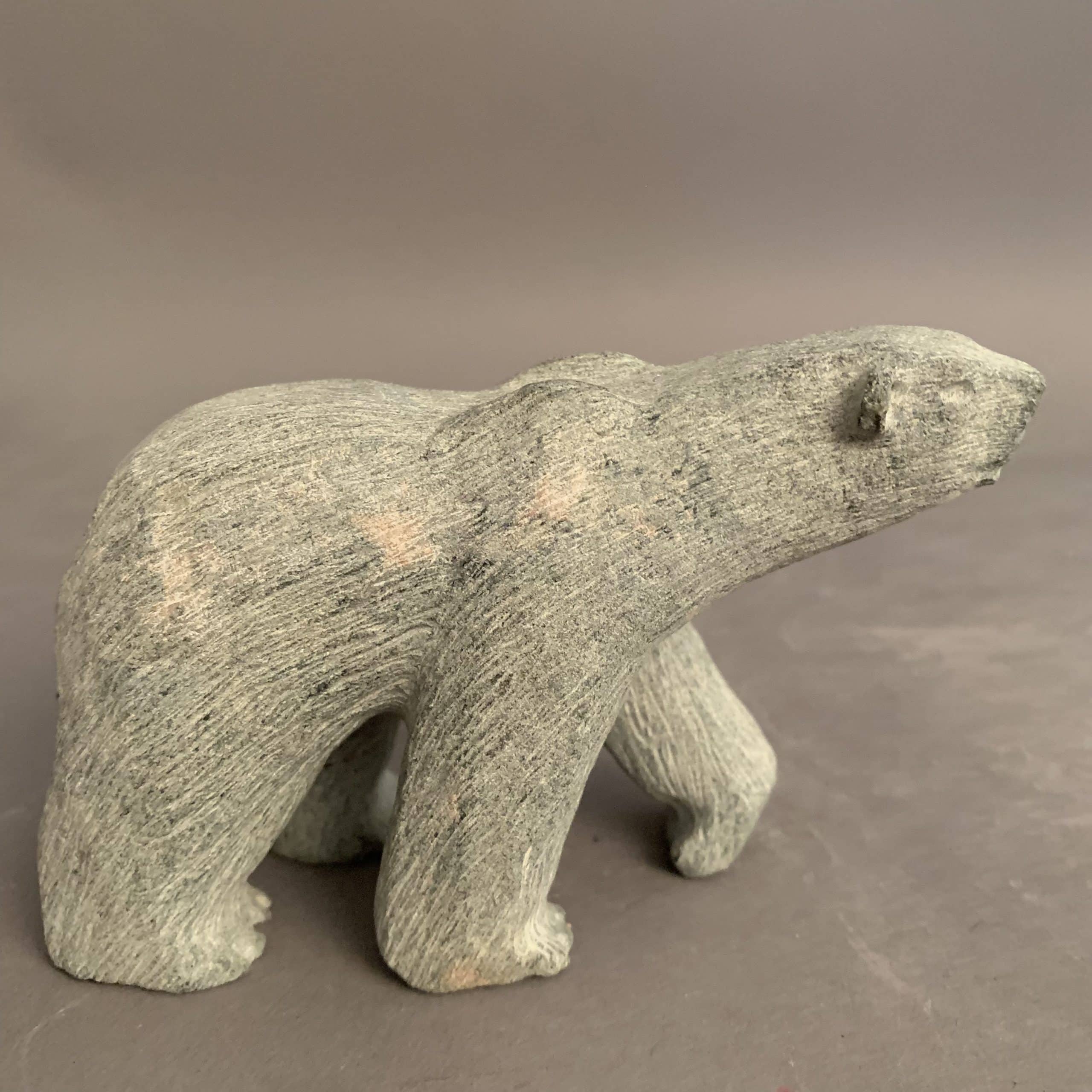 Bear _  Pootoogook  Ashevak