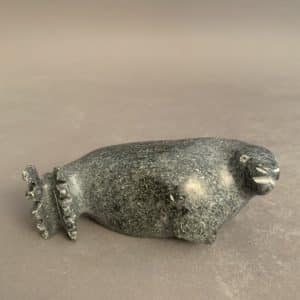 Seal _Johnny Qavavau