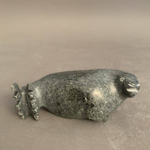 Seal _Johnny Qavavau