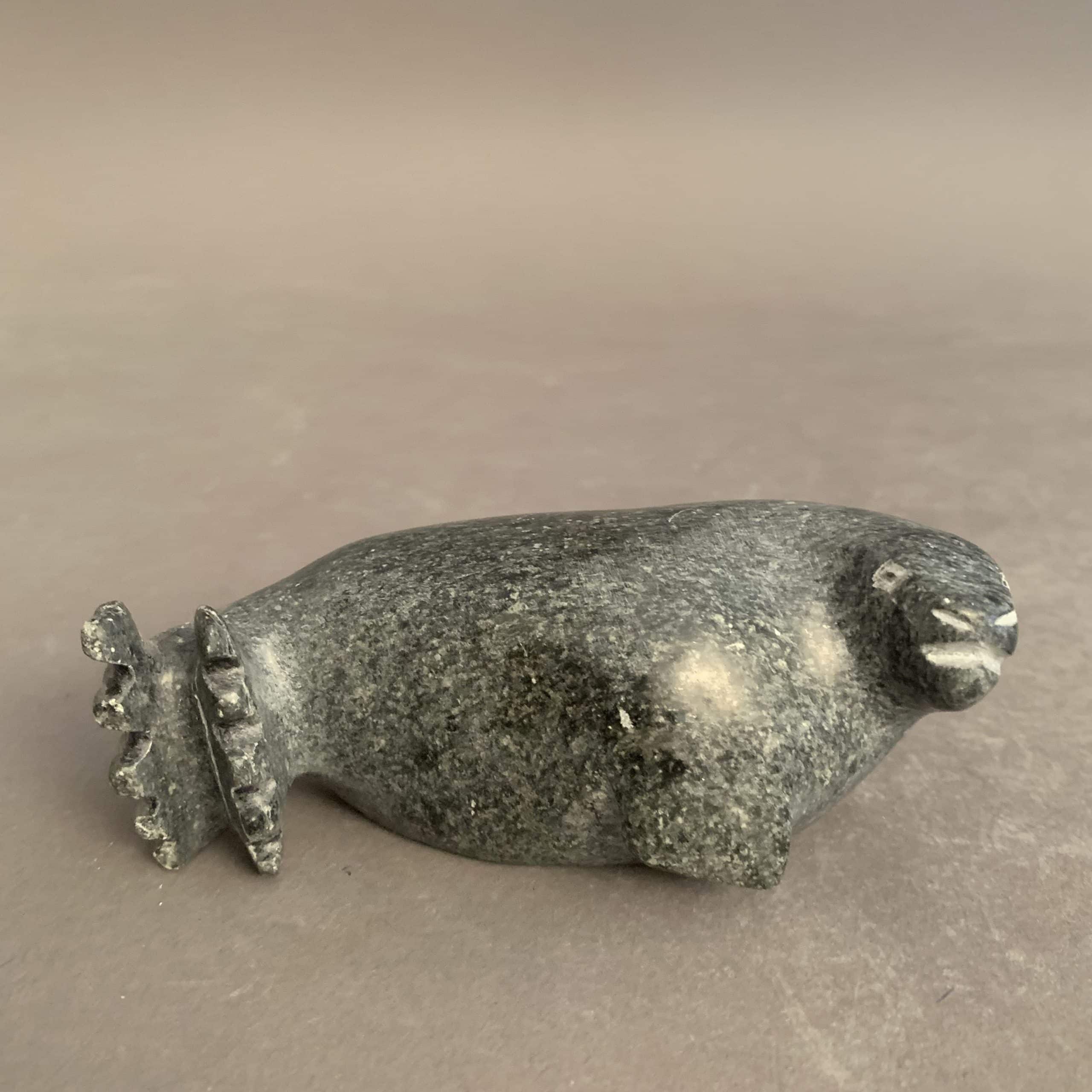 Seal _Johnny Qavavau