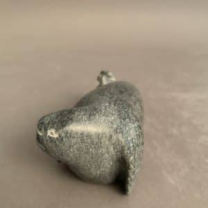 Seal _Johnny Qavavau