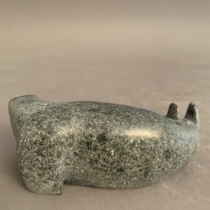 Seal _Johnny Qavavau
