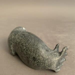 Seal _Johnny Qavavau