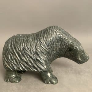 Muskox _ Kelly Etidlouie