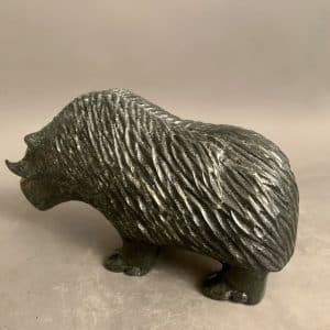 Muskox _ Kelly Etidlouie