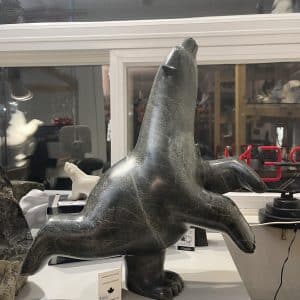 Dancing Bear _ Ashevak Adla