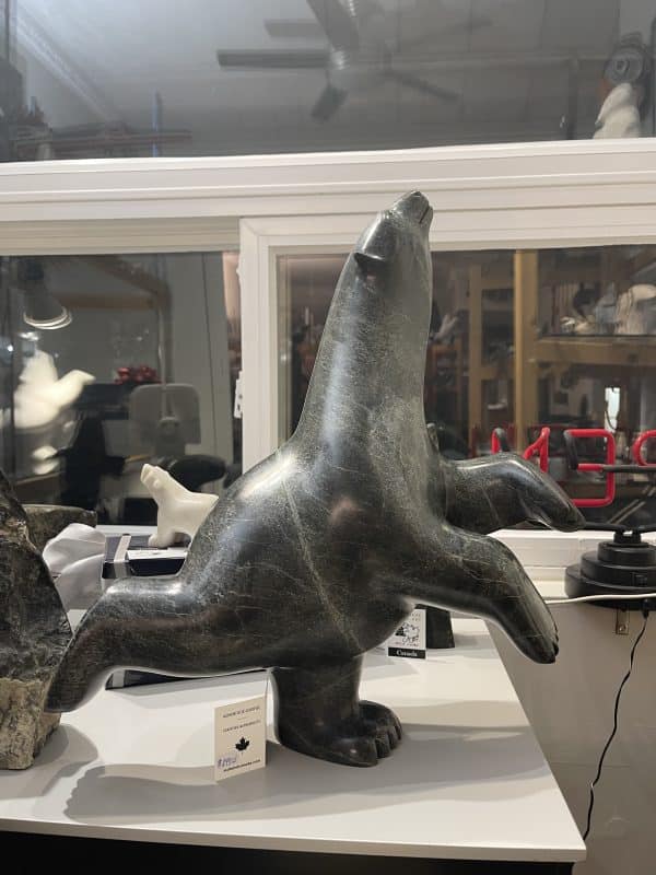 Dancing Bear _ Ashevak Adla
