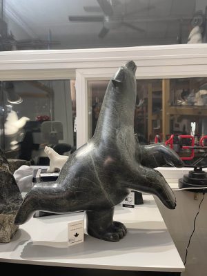 Dancing Bear _ Ashevak Adla
