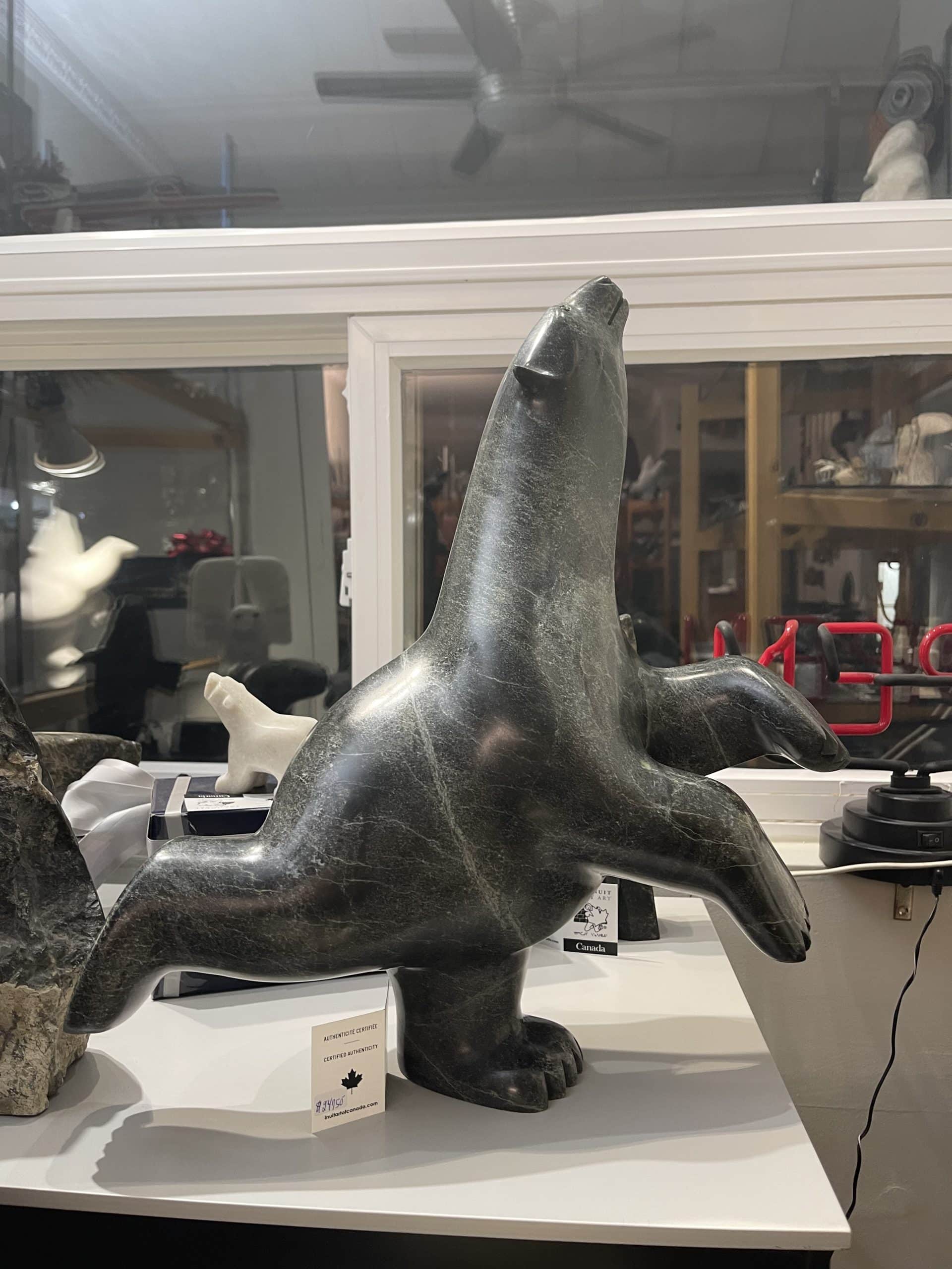 Dancing Bear _ Ashevak Adla