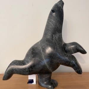 Dancing Bear _ Ashevak Adla