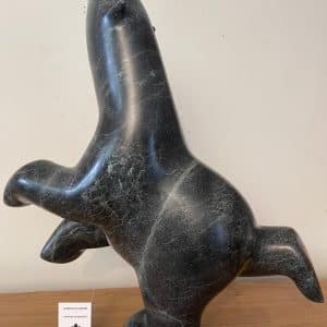 Dancing Bear _ Ashevak Adla